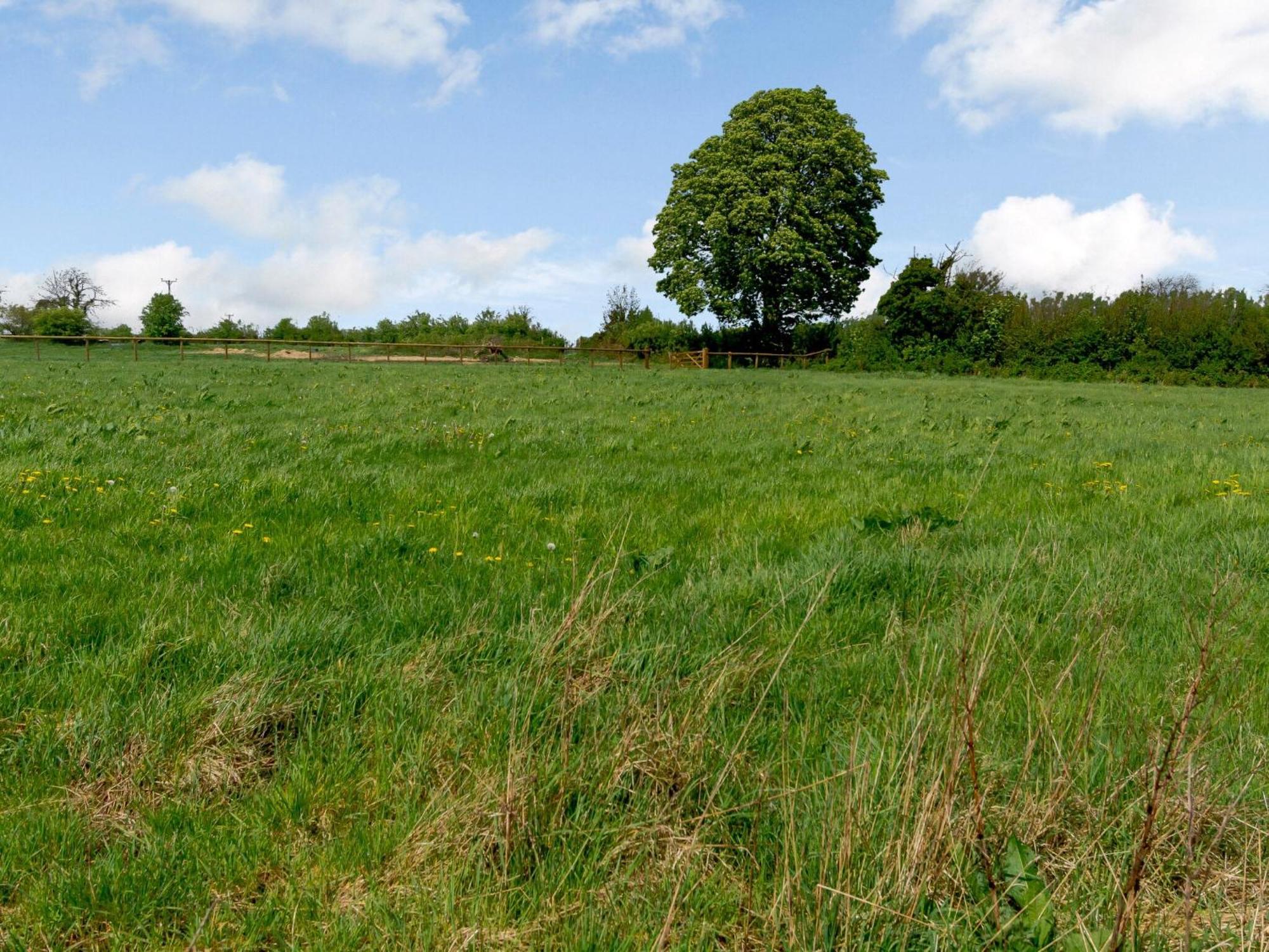 Primrose Villa Shepton Mallet Eksteriør billede